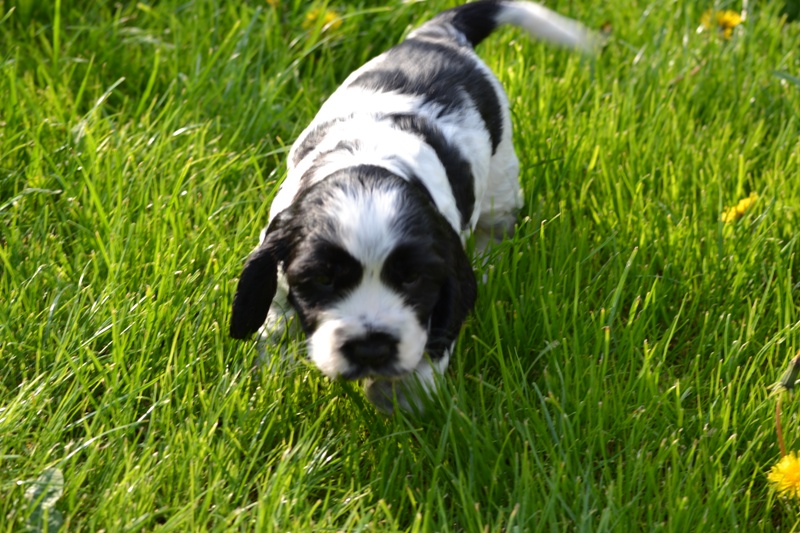 Vrh H a CH 24-Hany.JPG